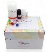 飛凈 Phygene 質(zhì)粒大提試劑盒MaxiPlasmid Preparation Kit