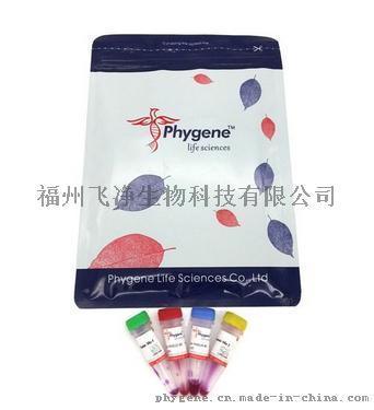 飛凈 Phygene 核糖核酸酶A RNase A （10mg/ml, DNase free）