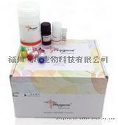 飛凈 Phygene 無(wú)內(nèi)毒素質(zhì)粒大量提取試劑盒 EndoFree Plasmid Maxi Kit