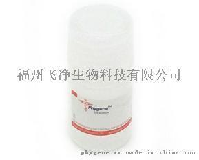 飛凈 Phygene Western封閉液（磷酸化抗體專(zhuān)用）